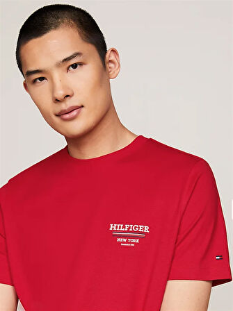 Erkek HILFIGER GLOBAL STRIPE TEE T-Shirt-Kırmızı | L