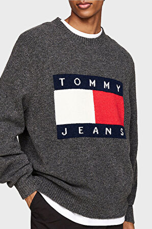 Tommy Jeans Erkek Kazak DM0DM19442 PUB