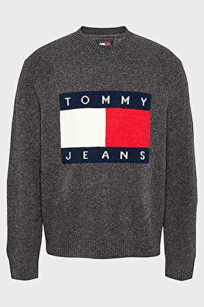 Tommy Jeans Erkek Kazak DM0DM19442 PUB