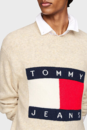 Tommy Jeans Erkek Kazak DM0DM19442 ACG