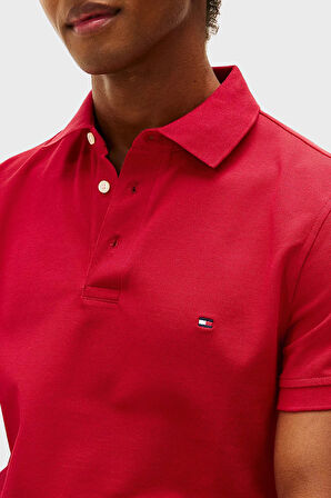 Tommy Hilfiger Erkek Polo Yaka T Shirt MW0MW17771 XLD