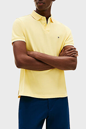 Tommy Hilfiger Erkek Polo Yaka T Shirt MW0MW17770 ZF0