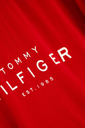 Tommy Hilfiger Erkek T Shirt MW0MW37448 XLD