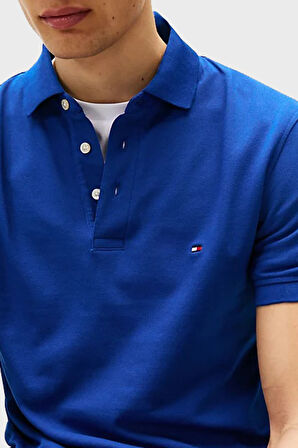 Tommy Hilfiger Erkek Polo Yaka T Shirt MW0MW17771 D03