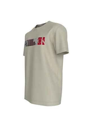 Calvin Klein Jeans Bisiklet Yaka Baskılı Taş Erkek T-Shirt J30J326865PD7 CITY BLOCK TEE