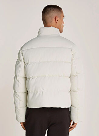 Calvin Klein Bej Erkek Mont K10K113458ACE