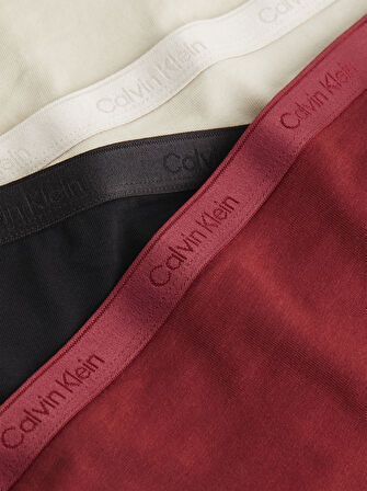 CALVIN KLEIN BIKINI 3PK Külot