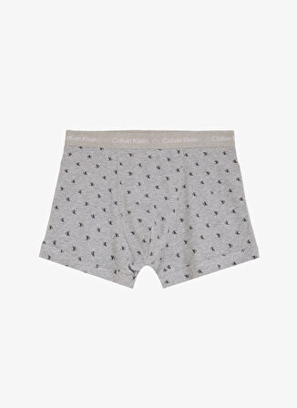 Calvin Klein Çok Renkli Erkek Boxer 0000U2662GQY5