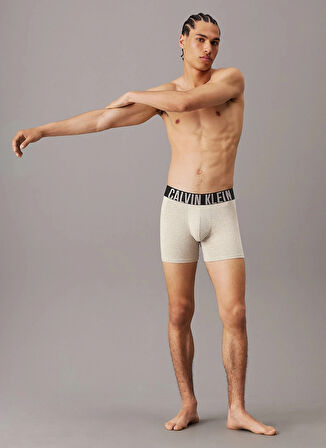 Calvin Klein Çok Renkli Erkek Boxer 000NB3609AQTK