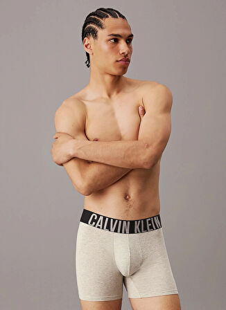 Calvin Klein Çok Renkli Erkek Boxer 000NB3609AQTK