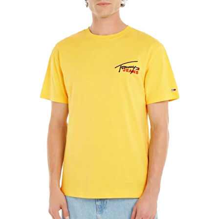 Tommy Hilfiger Classic Graphic Signature Shirt Men