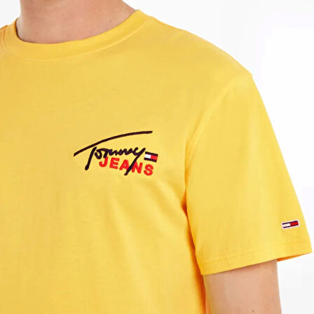 Tommy Hilfiger Classic Graphic Signature Shirt Men
