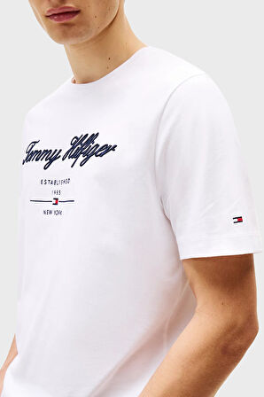 Tommy Hilfiger Erkek T Shirt MW0MW33691 YBR