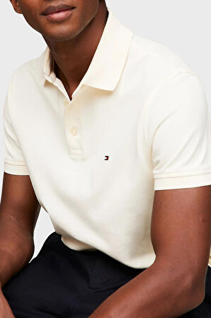 Tommy Hilfiger Erkek Polo Yaka T Shirt MW0MW17771 AEF