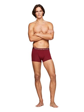 Tommy Hilfiger Erkek 3'lü Boxer Trunk