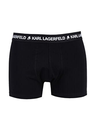 KARL LAGERFELD Yeşil Erkek Boxer 231M2103683