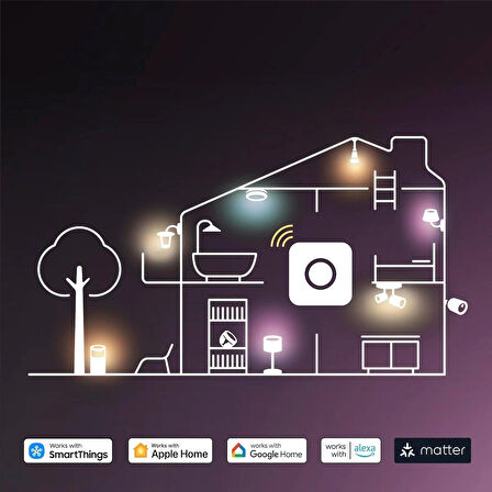 Philips Hue Essential 2'li E27 Ampul Başlangıç Seti 806 Lumen