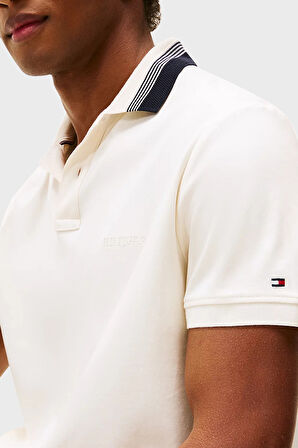 Tommy Hilfiger Erkek Polo Yaka T Shirt MW0MW38466 Z00