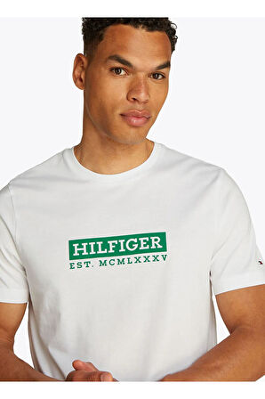 Tommy Hilfiger Erkek Colour T-Shirt MW0MW39149