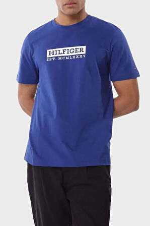 Tommy Hilfiger Erkek T Shirt MW0MW39149 D03