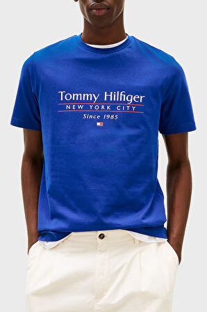 Tommy Hilfiger Erkek T Shirt MW0MW38621 D03