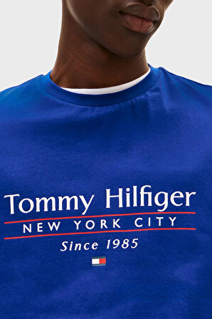 Tommy Hilfiger Erkek T Shirt MW0MW38621 D03
