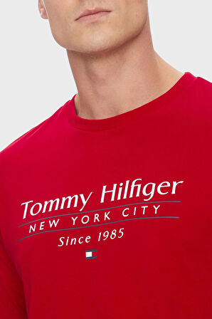 Tommy Hilfiger Erkek T Shirt MW0MW38621 XLD