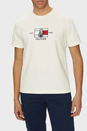 Tommy Hilfiger Erkek T Shirt MW0MW38628 Z00