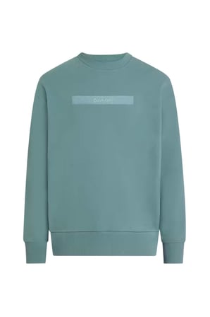 Calvin Klein Erkek Sweatshirt-K10K113763