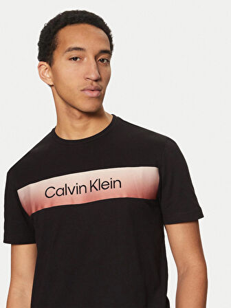 Calvin Klein Erkek Kısa Kollu Pamuklu Bisiklet Yaka Calvin Klein Yazı Detaylı Siyah T-Shirt K10K114163