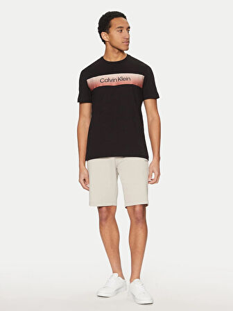 Calvin Klein Erkek Kısa Kollu Pamuklu Bisiklet Yaka Calvin Klein Yazı Detaylı Siyah T-Shirt K10K114163