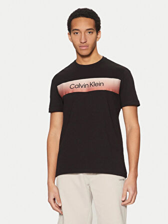 Calvin Klein Erkek Kısa Kollu Pamuklu Bisiklet Yaka Calvin Klein Yazı Detaylı Siyah T-Shirt K10K114163