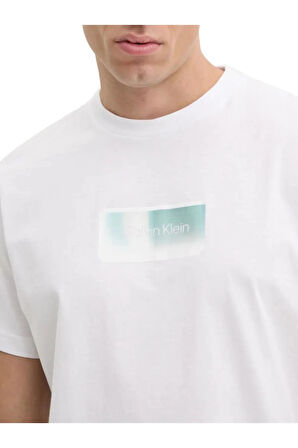 Calvin Klen Gel Ovarlay Erkek T-Shirt K10K114174