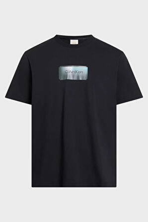 Calvin Klein Erkek T Shirt K10K114574 BEH