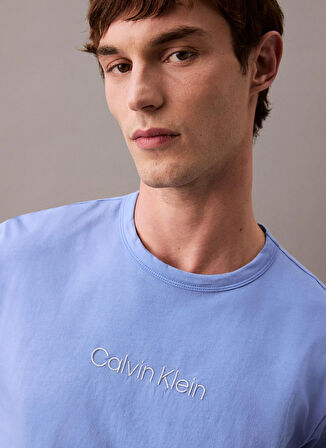 Calvin Klein Mavi Erkek T-Shirt 000NM2748EPWB