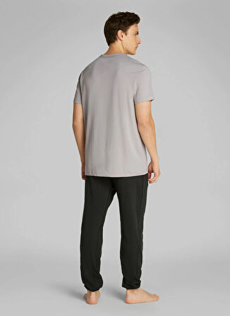 Calvin Klein Gri Erkek T-Shirt 000NM2748EOQ9
