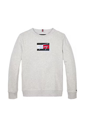 Erkek Çocuk Bisiklet Yaka Grafik Baskılı Sweatshirt - Gri | 10 Yaş