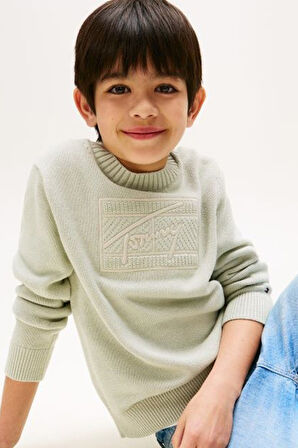 Erkek Çocuk Bisiklet Yaka Göğsü Kabartma Desenli Triko Kazak - Açık Yeşil | 14 Yaş