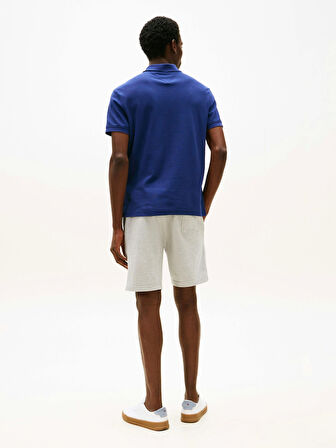Tommy Hilfiger IMD REG POLO Erkek Mavi T-shirt MW0MW33167C7G