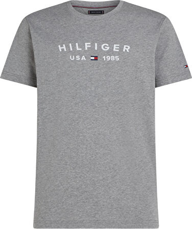TOMMY HILFIGER Erkek  Koyu Gri T-Shirt MW0MW39356 P91