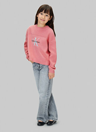 Calvin Klein Bisiklet Yaka Regular Fit Desenli Pembe Kız Çocuk Kazak IG0IG03046VAZ