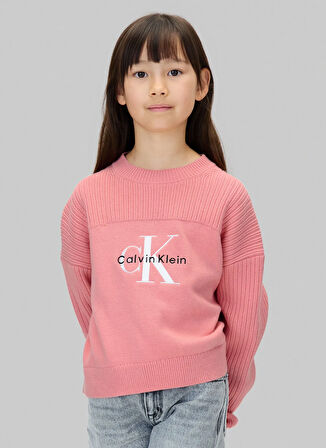 Calvin Klein Bisiklet Yaka Regular Fit Desenli Pembe Kız Çocuk Kazak IG0IG03046VAZ