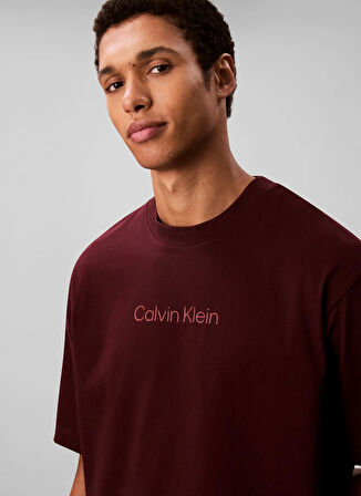 Calvin Klein Bisiklet Yaka Kırmızı Erkek T-Shirt LV04LD230GGR9_SS STANDARD LOGO 30S