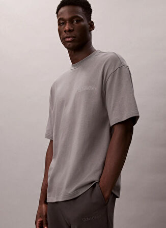 Calvin Klein Gri Erkek T-Shirt LV00NM2929PR8
