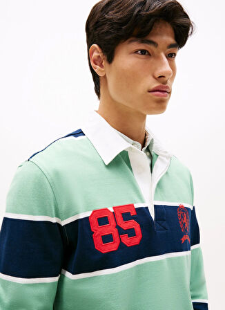 Tommy Jeans Çizgili Yeşil Erkek Polo T-Shirt DM0DM22074MAS TJM RLX STRIPE RUGBY