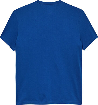 TJM REG BADGE TEE EXT Erkek Mavi T-Shirt - DM0DM20322