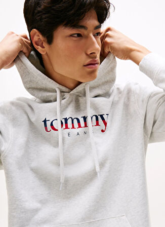 Tommy Jeans Kapüşon Yaka Açık Gri Erkek Sweatshırt DM0DM22113P09 TJM REG DNA HOODIE EX