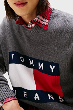 Tommy Jeans Erkek Kazak DM0DM22105 PU2