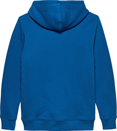 TJM REG BADGE HOODIE EXT Erkek Mavi Kazak - DM0DM20258