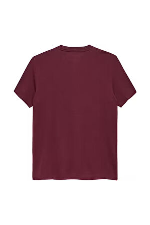 Erkek Slim Fit Bisiklet Yaka Logo Baskılı T-Shirt - Bordo | M